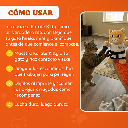 03_espanol.png