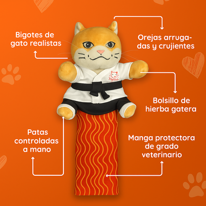 05_espanol.png