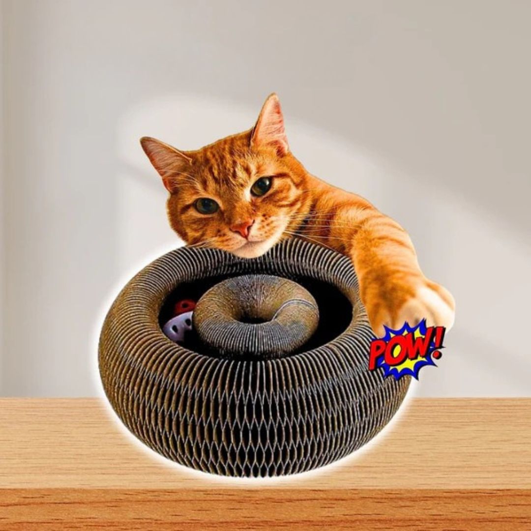 CurePet Resortes Interactivos - Juguete de Ejercicio Físico y Mental para Gatos