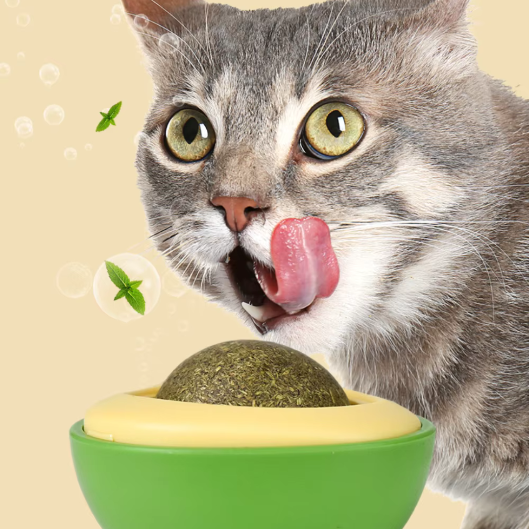 Bola Interactiva de Hierba Gatera-Catnip