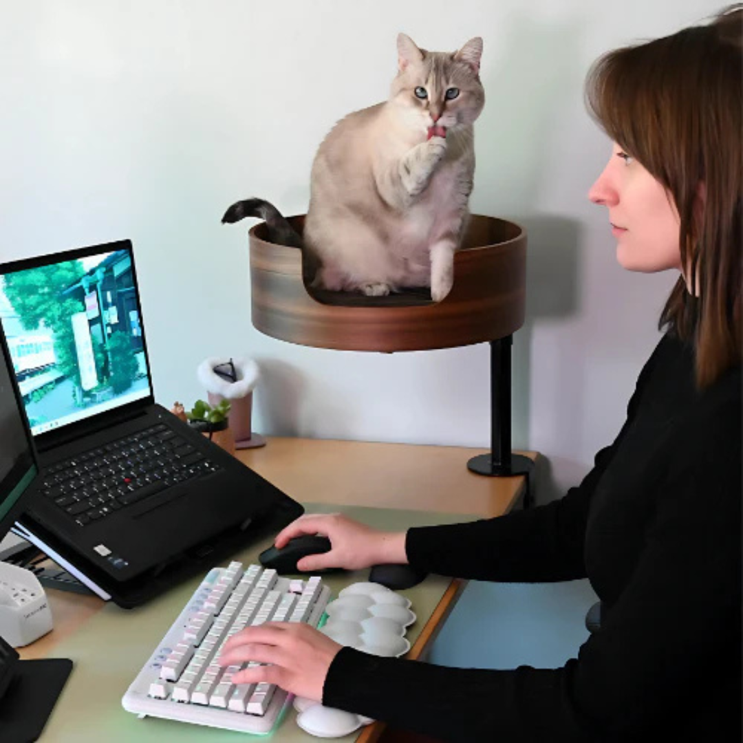 Cama Compañera: Tu Gato en la Oficina - MyCure Pets