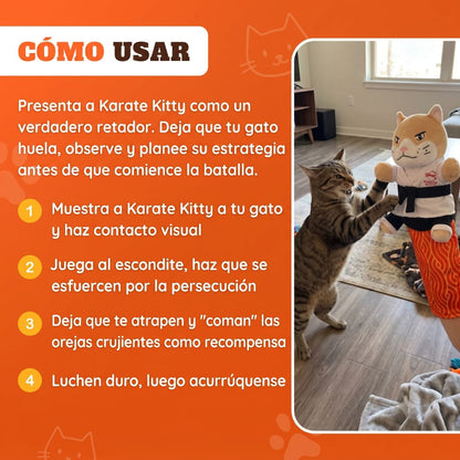 A marioneta de luta livre número 1 para gatos, para o máximo enriquecimento do seu gato.