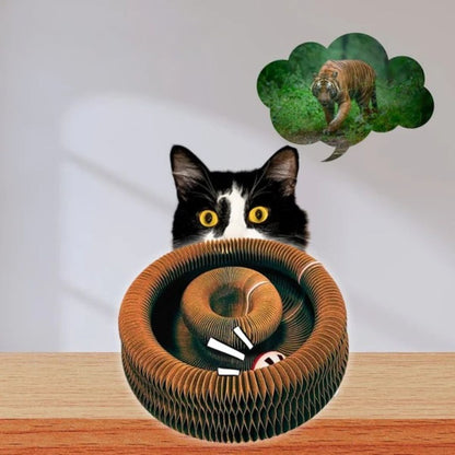 CurePet Resortes Interactivos - Juguete de Ejercicio Físico y Mental para Gatos
