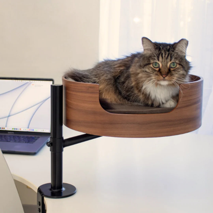 Cama Compañera: Tu Gato en la Oficina - MyCure Pets