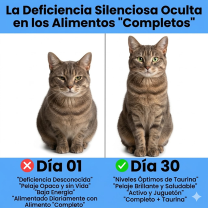 Mycure-Pet™ Taurina para Gatos | Apoyo para Corazón, Visión y Energía