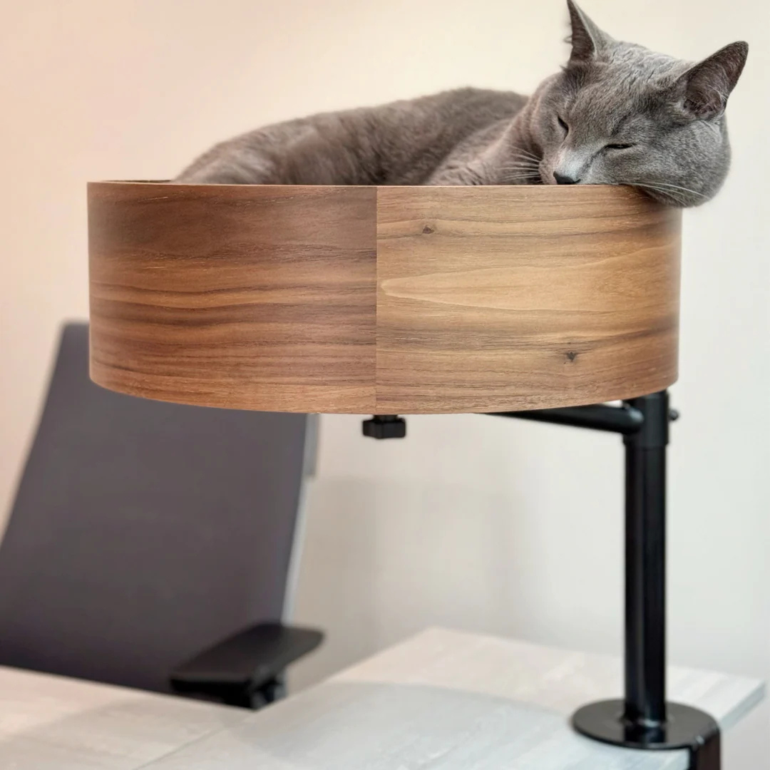 Cama Compañera: Tu Gato en la Oficina - MyCure Pets