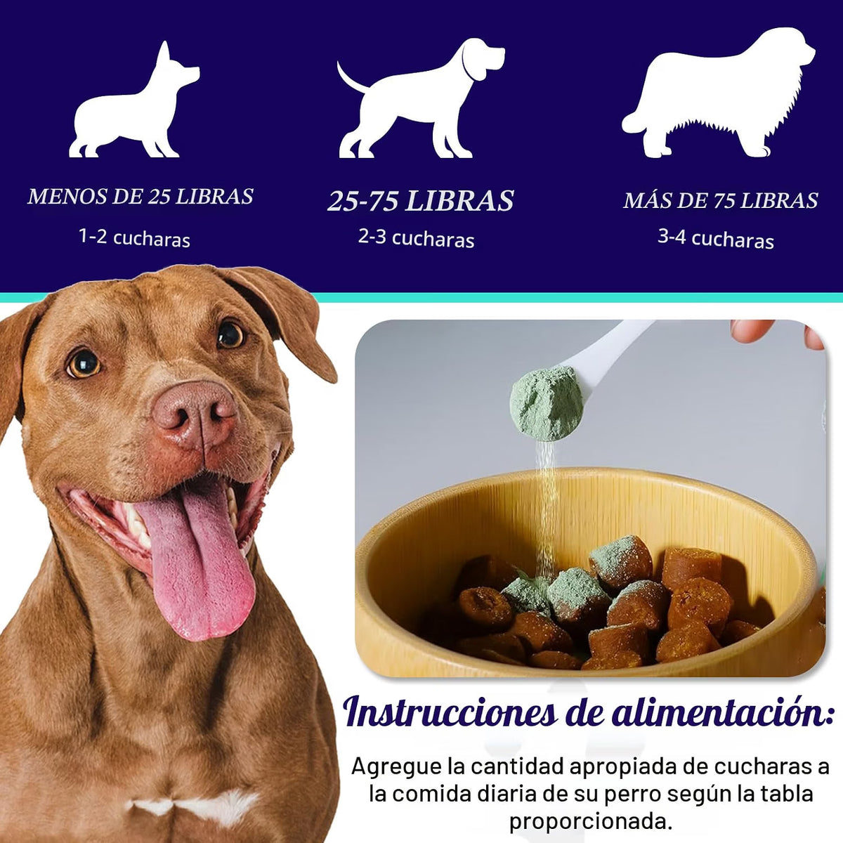 Canident Polvo Dental para Perros – Removedor de Placa Natural a base de Algas Marinas para Perros