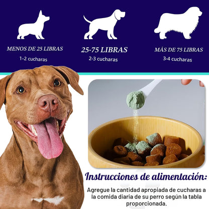 Canident Polvo Dental para Perros – Removedor de Placa Natural a base de Algas Marinas para Perros