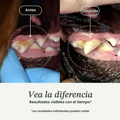 Canident Polvo Dental para Perros – Removedor de Placa Natural a base de Algas Marinas para Perros