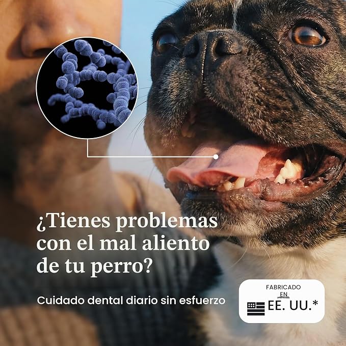 Canident Polvo Dental para Perros – Removedor de Placa Natural a base de Algas Marinas para Perros
