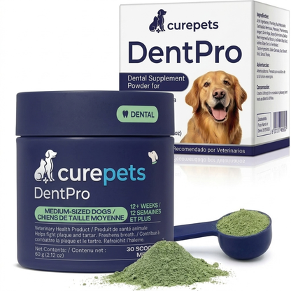 Canident Polvo Dental para Perros – Removedor de Placa Natural a base de Algas Marinas para Perros