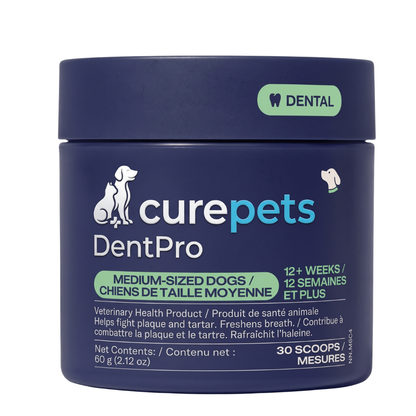 Canident Polvo Dental para Perros – Removedor de Placa Natural a base de Algas Marinas para Perros