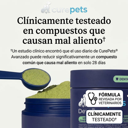Canident Polvo Dental para Perros – Removedor de Placa Natural a base de Algas Marinas para Perros