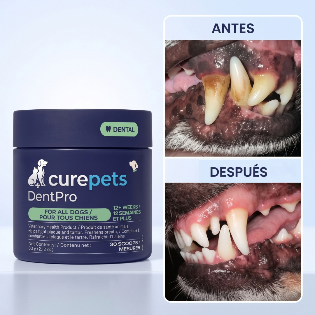 Denpro: Remueve placa y sarro sin usar cepillo en 3 a 5 semanas.