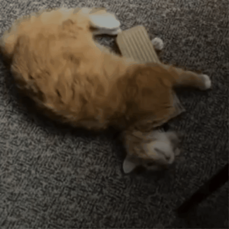 Michifresh: Brinquedo Arranhador de Sisal com Catnip