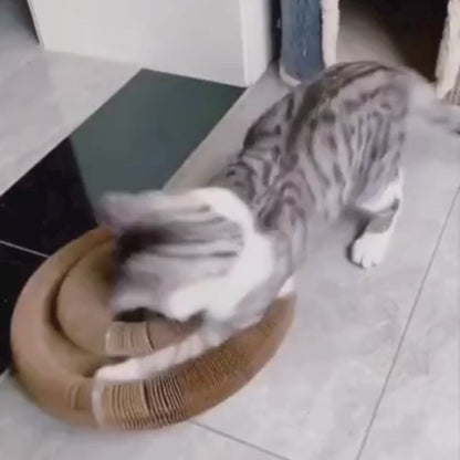 CurePet Resortes Interactivos - Juguete de Ejercicio Físico y Mental para Gatos
